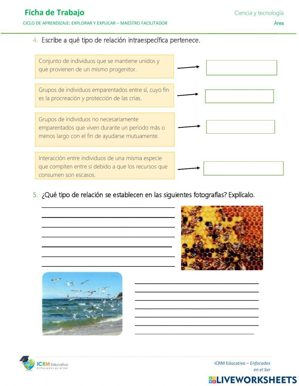 Relaciones ecologicas