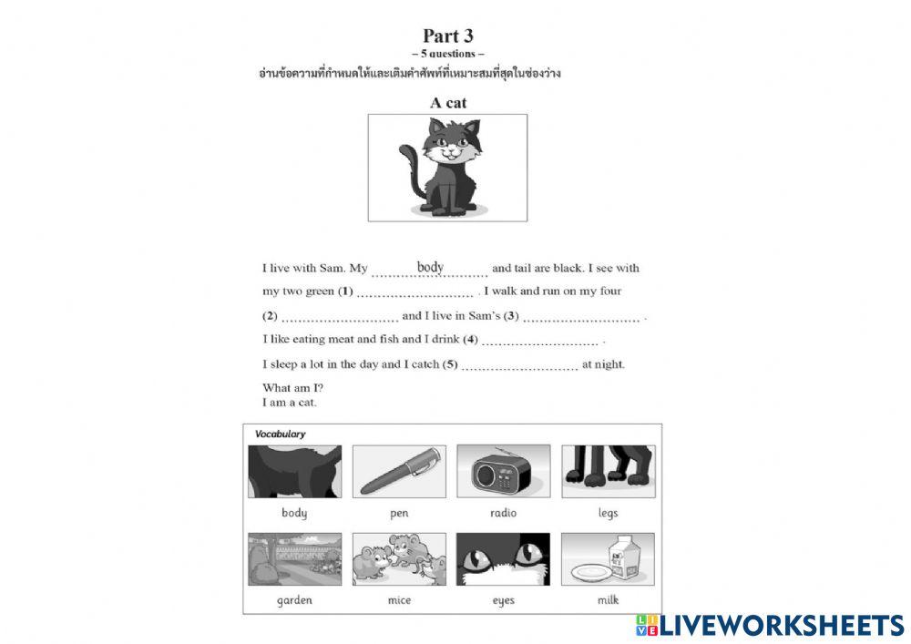 Part 3 diag tft worksheet live worksheets