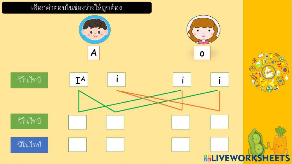 Science จีโนไทป์