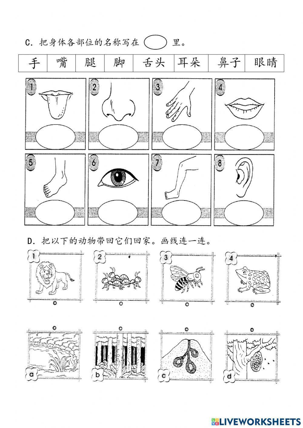 Sains Tahun 1 一年级科学