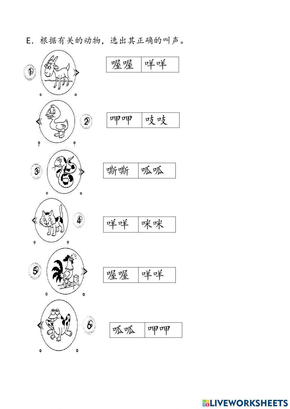 Sains Tahun 1 一年级科学