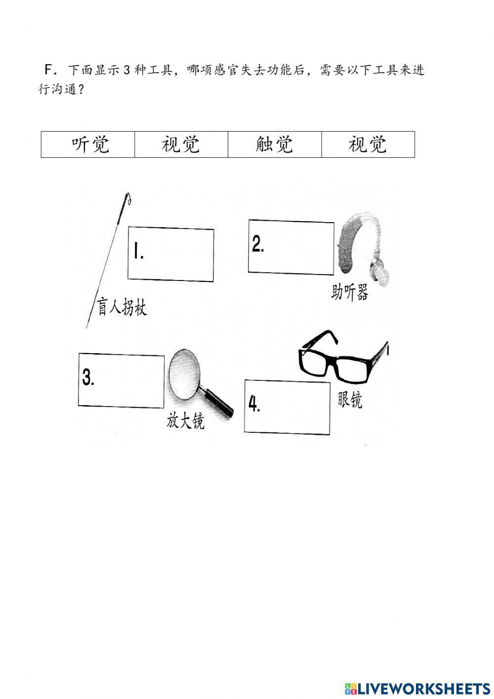 Sains Tahun 1 一年级科学