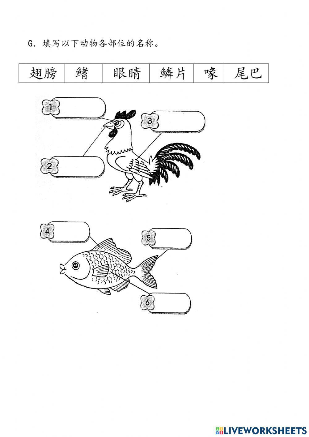 Sains Tahun 1 一年级科学
