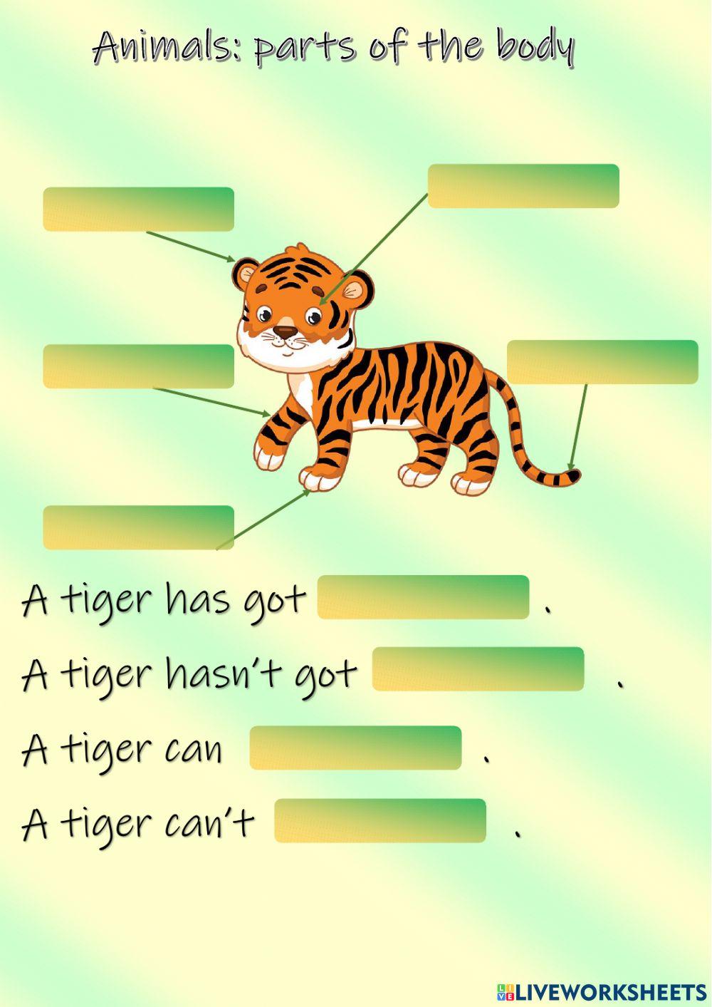 Animals: parts of the body