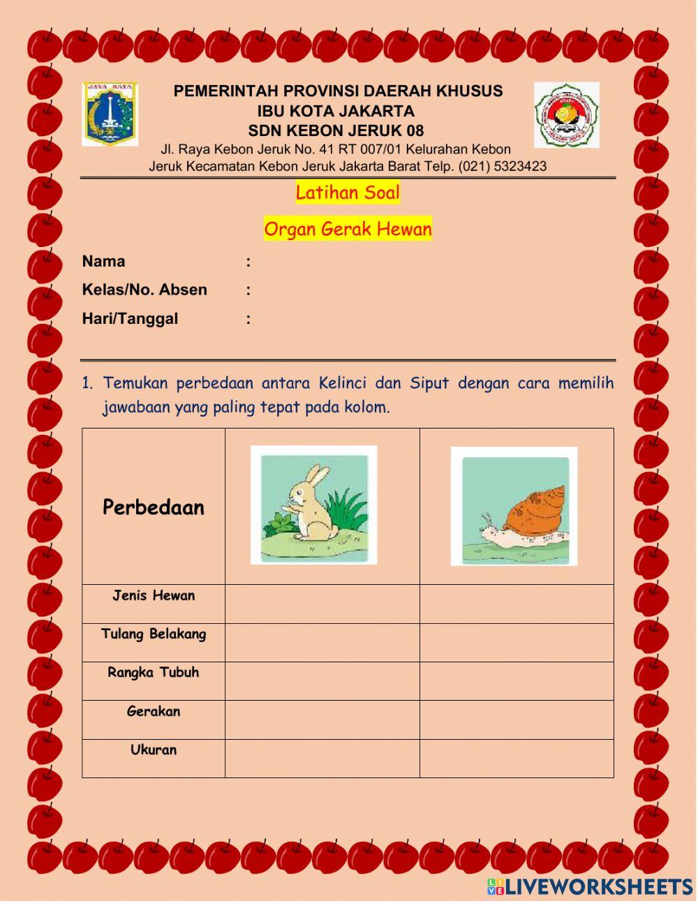 Latihan Soal Organ Gerak Hewan