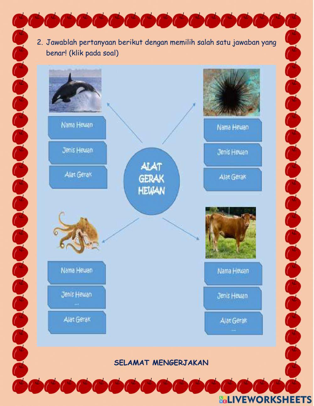 Latihan Soal Organ Gerak Hewan