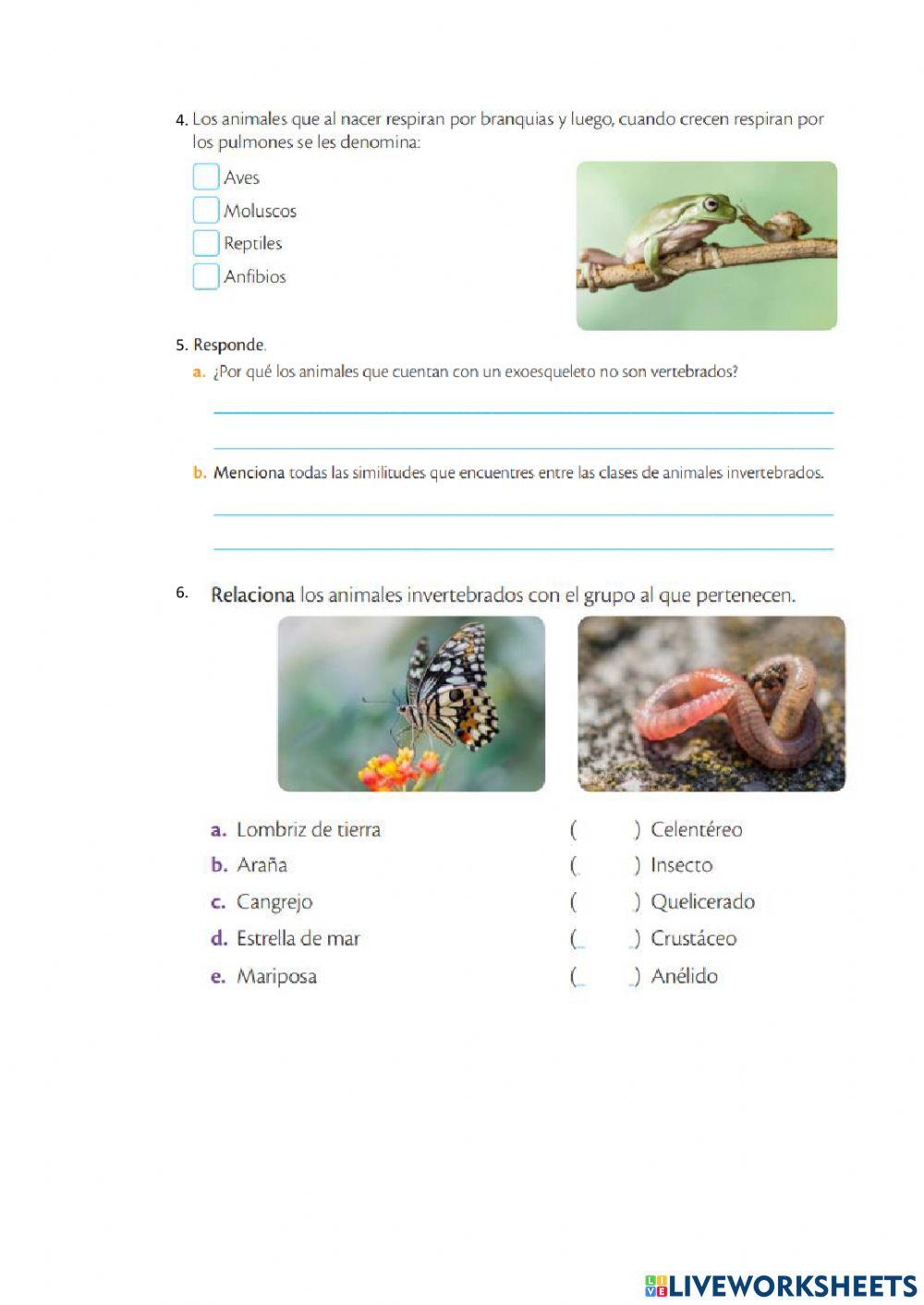 Ciencia cuarto bimestral