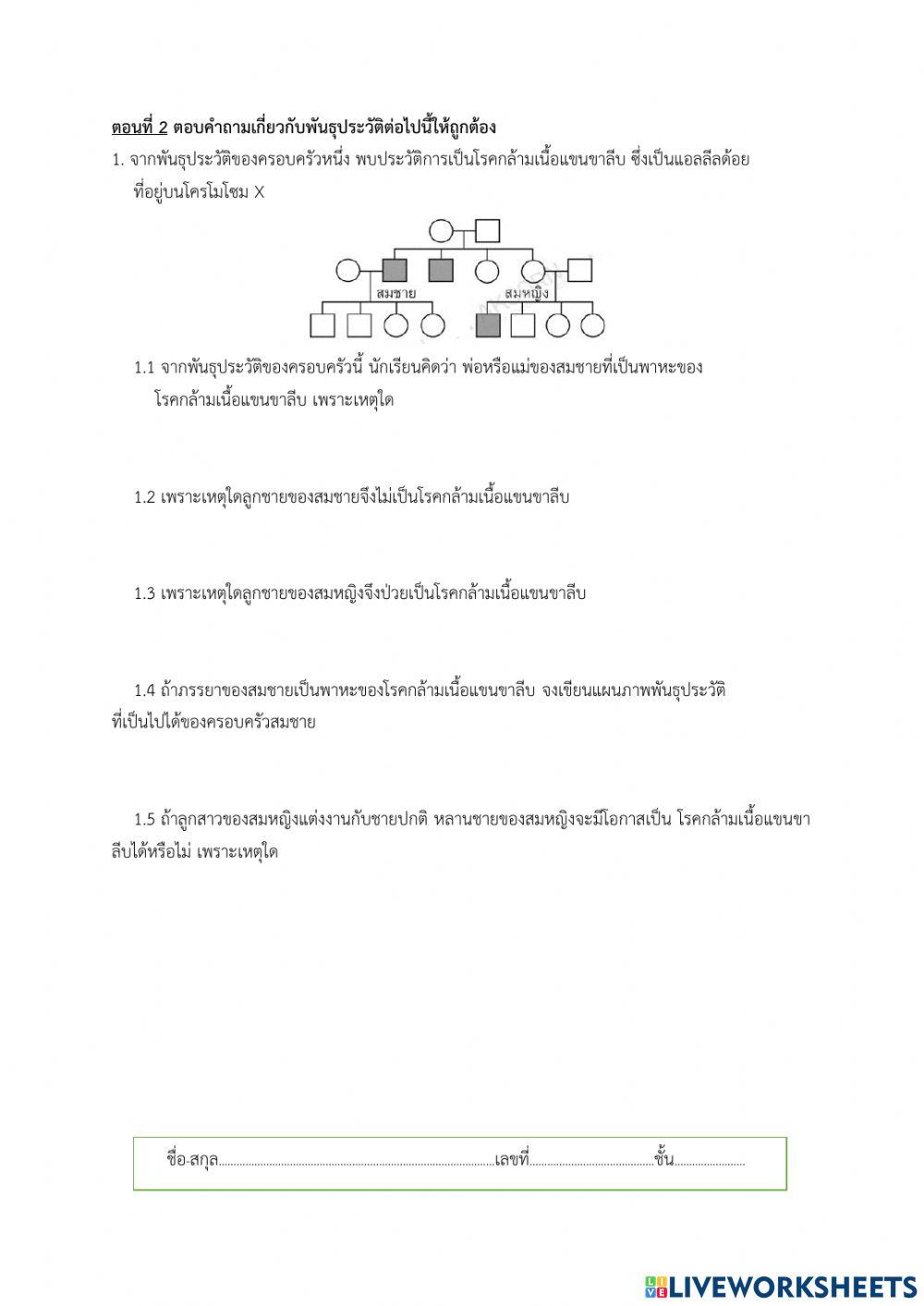 กิจกรรมที่ 3