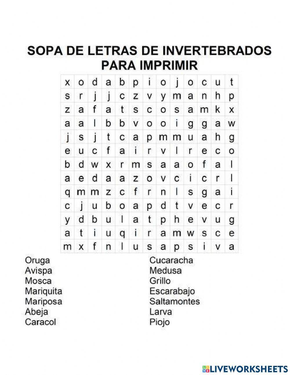 Sopa de letras