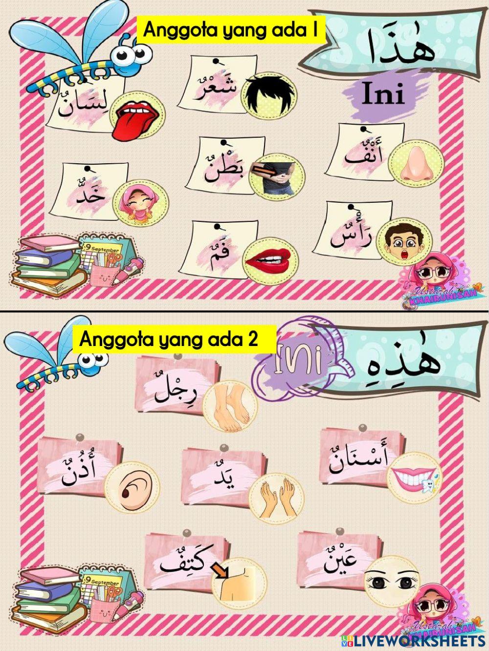 Anggota badan ( جسمي السليم )