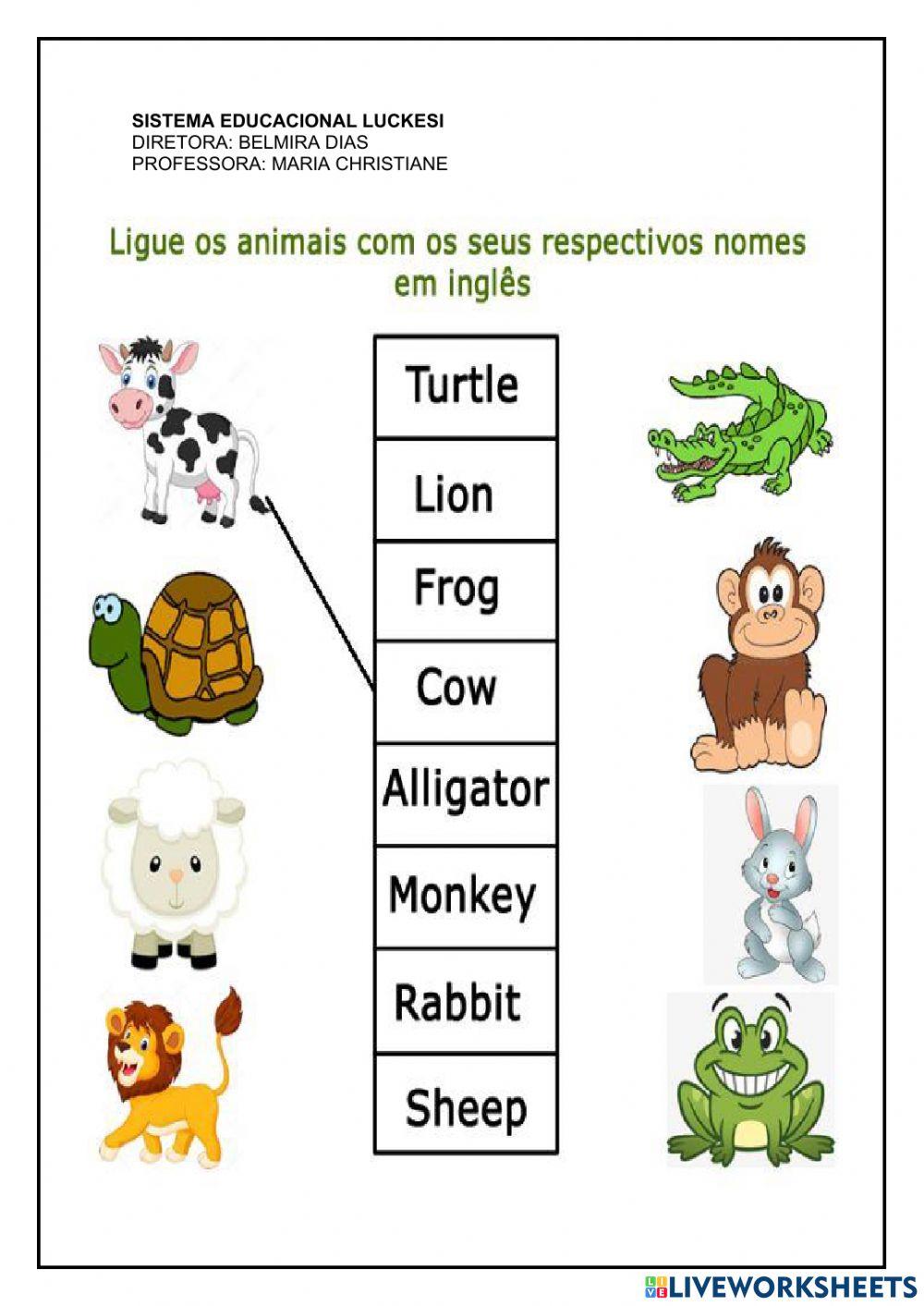 Nome de animais em inglês