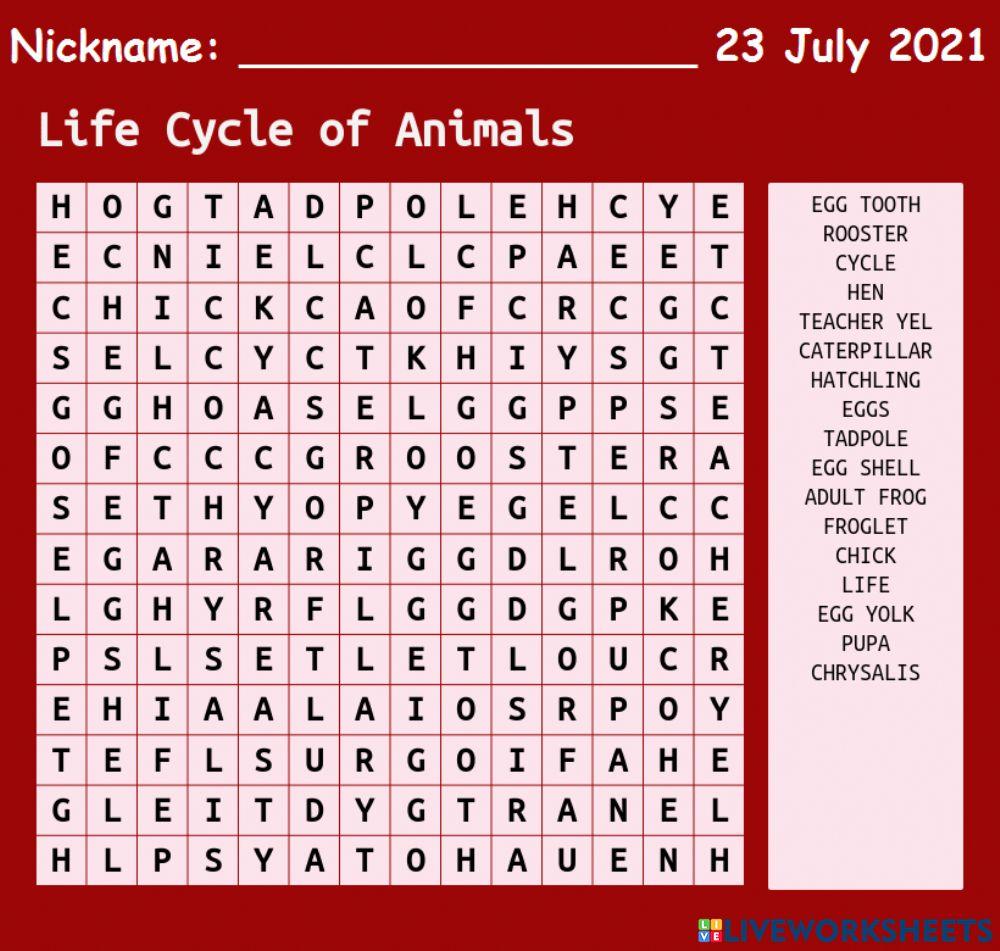 Life Cycle of Animals