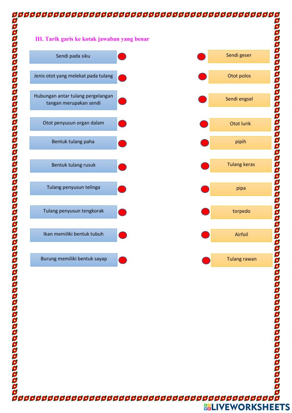 Sistem Gerak Manusia