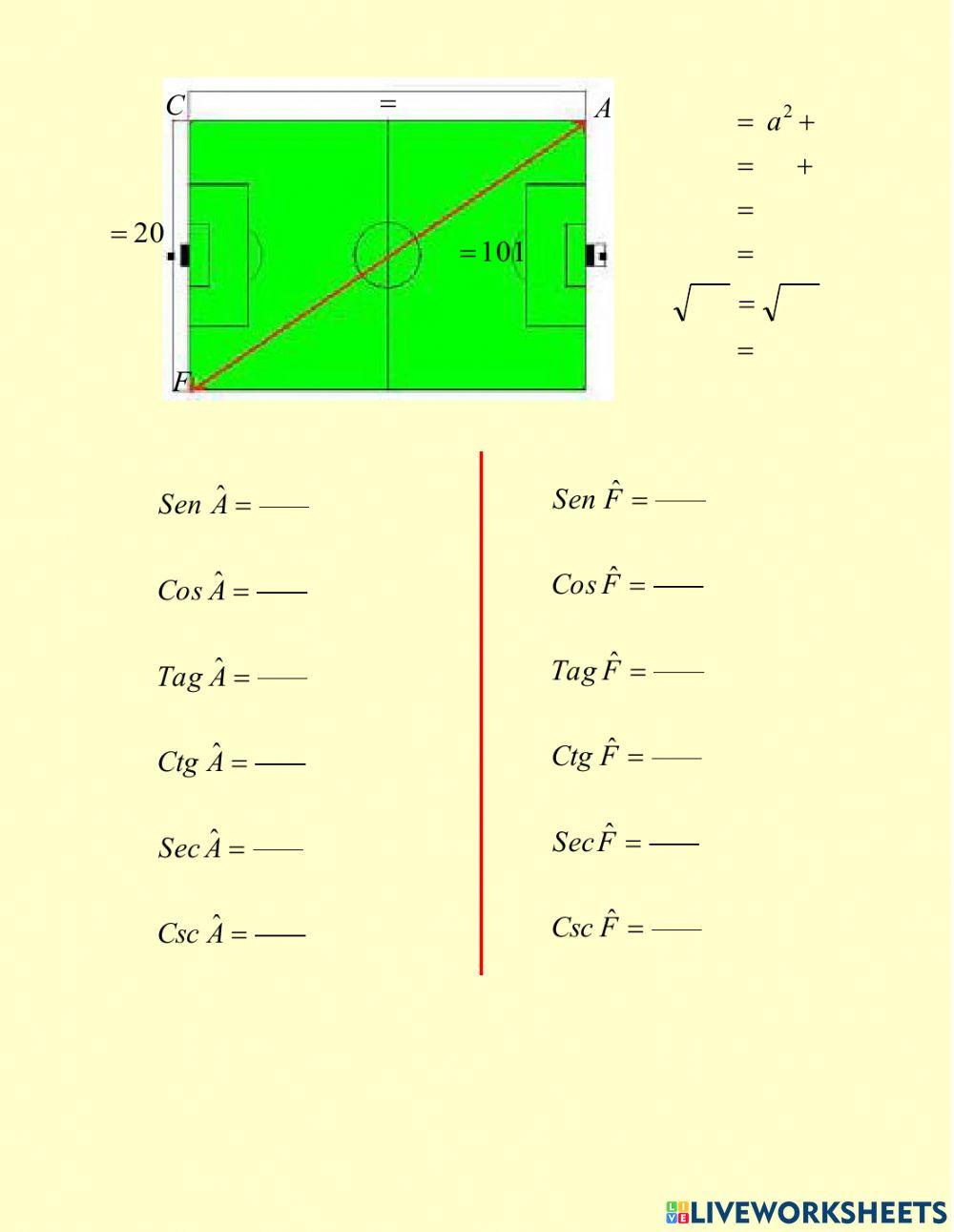 Funciones Trigonométricas