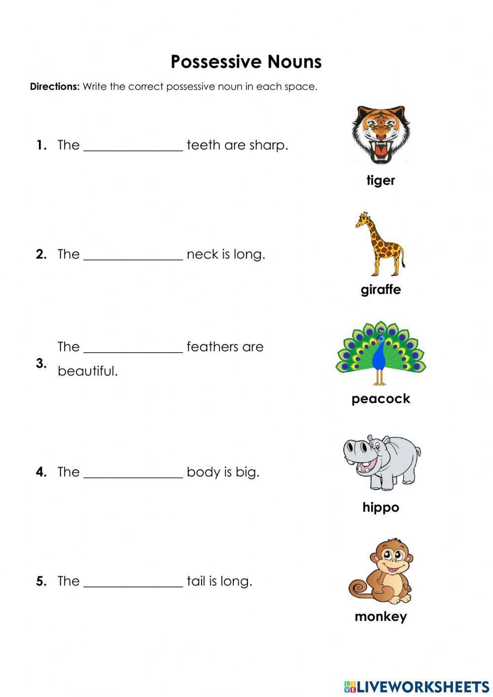 Possessive Nouns