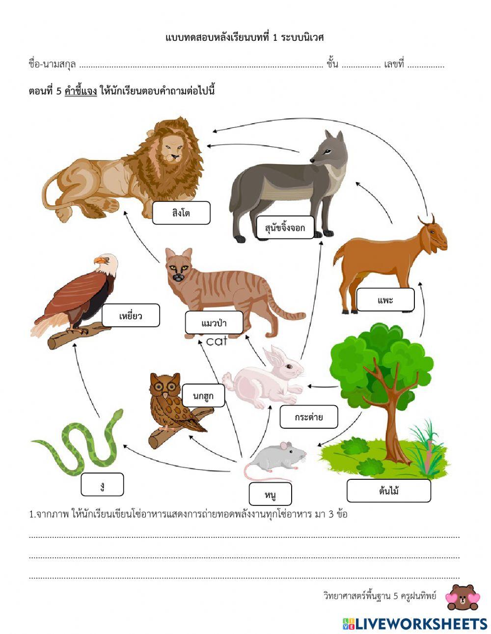 แบบทดสอบเรื่องระบบนิเวศ