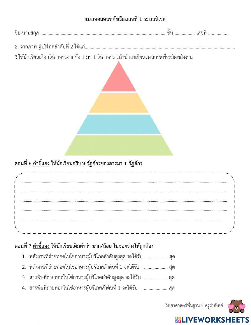 แบบทดสอบเรื่องระบบนิเวศ