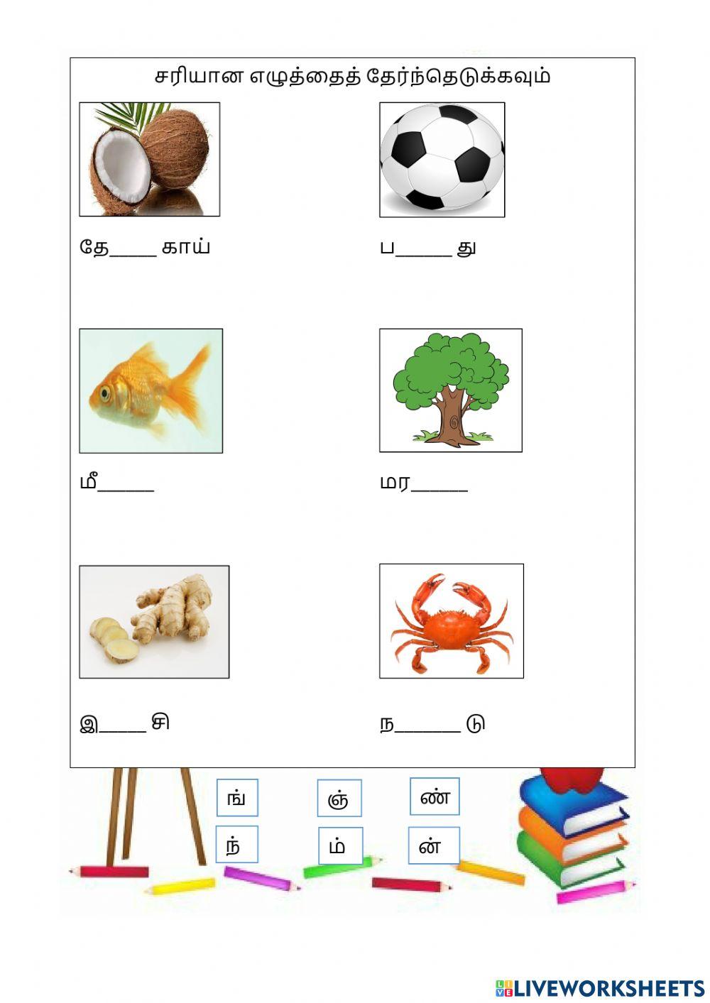 மெல்லின மெய்யெழுத்து