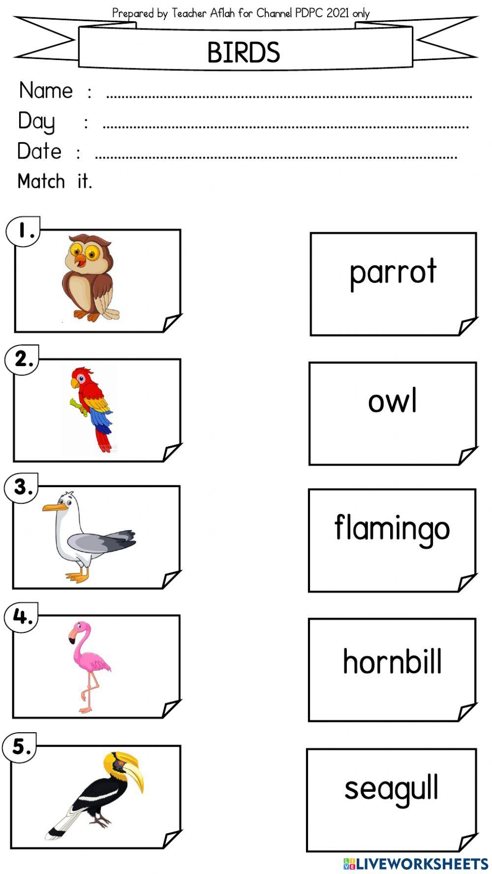 Bird exercise | Live Worksheets