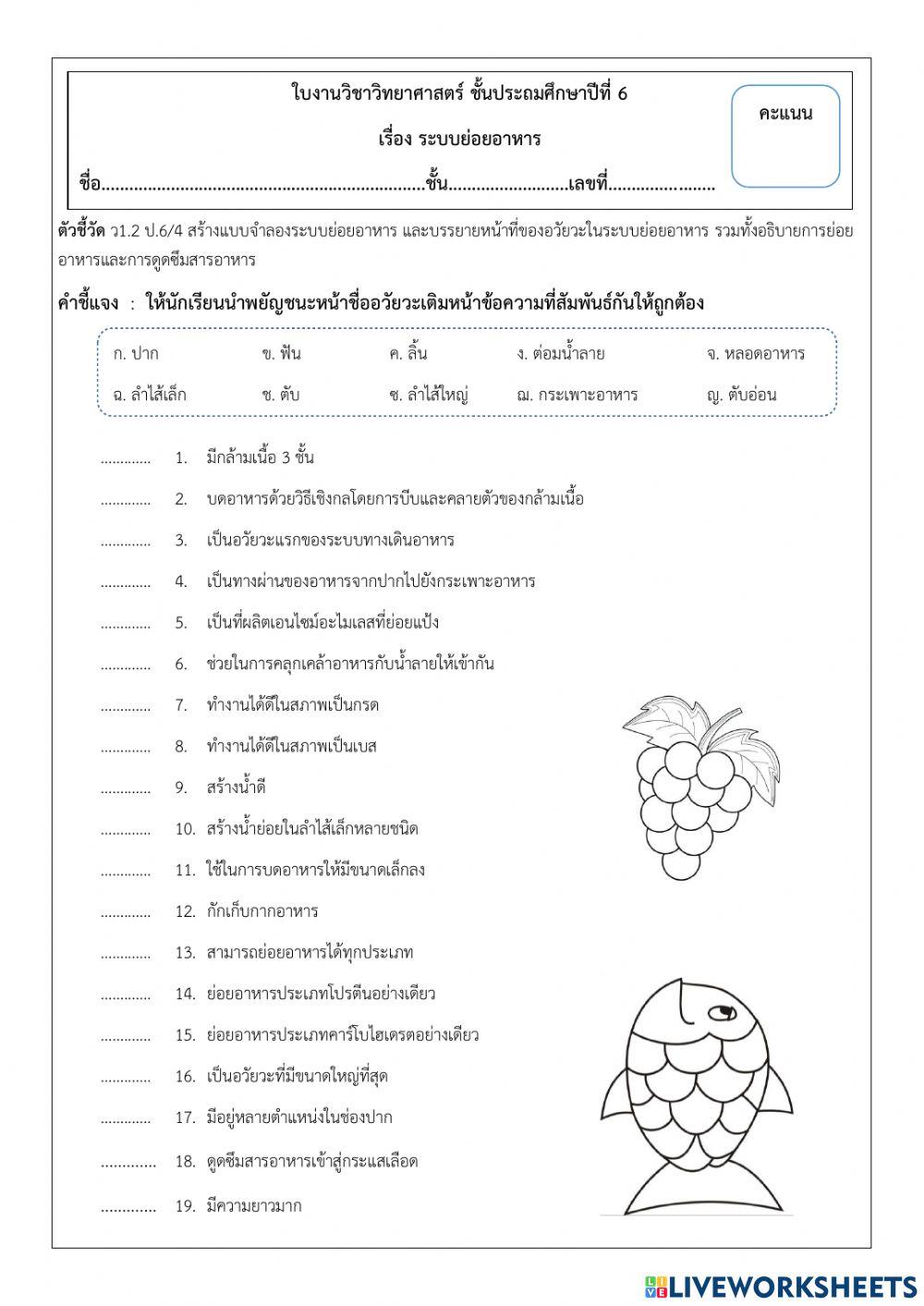 ระบบย่อยอาหาร