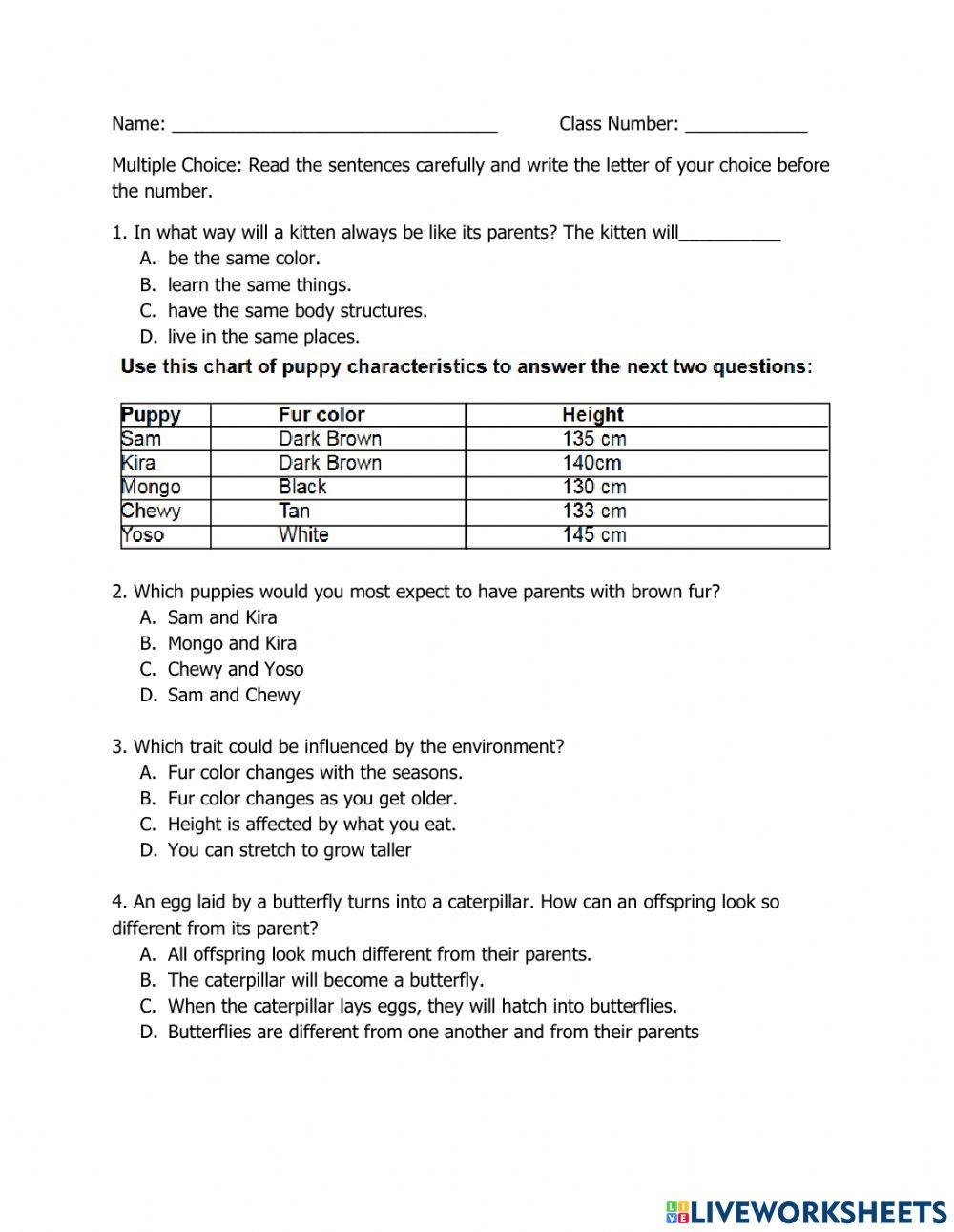Heredity online exercise for Live Worksheets