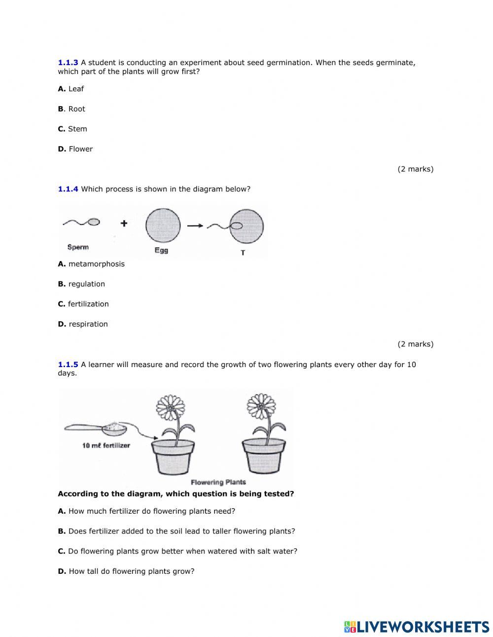 Middle exam Natural science