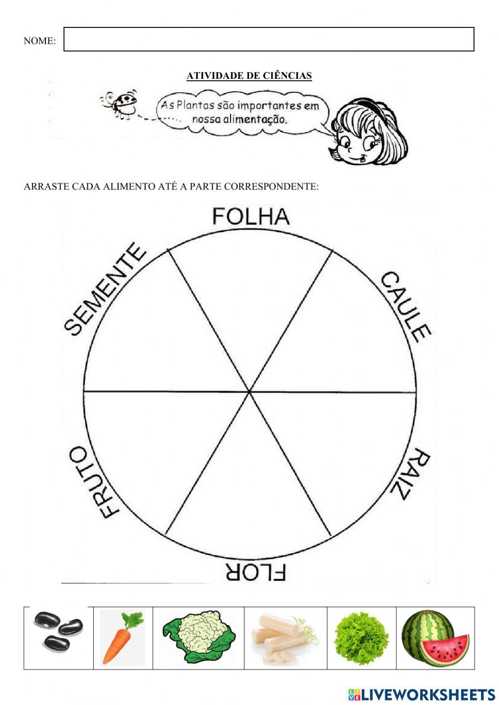Plantas e alimentação