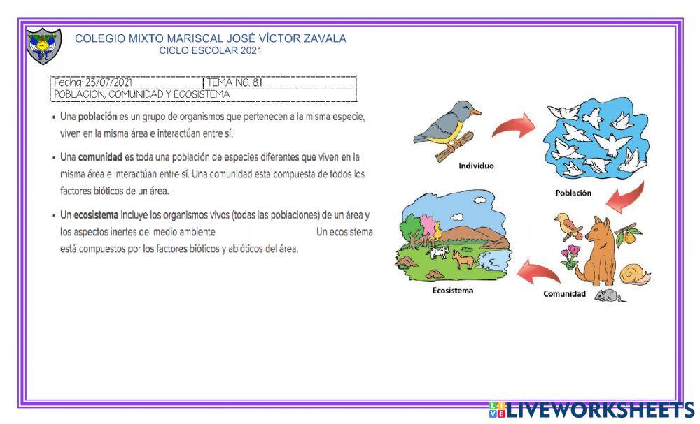 Poblacion comunidad y ecosistema