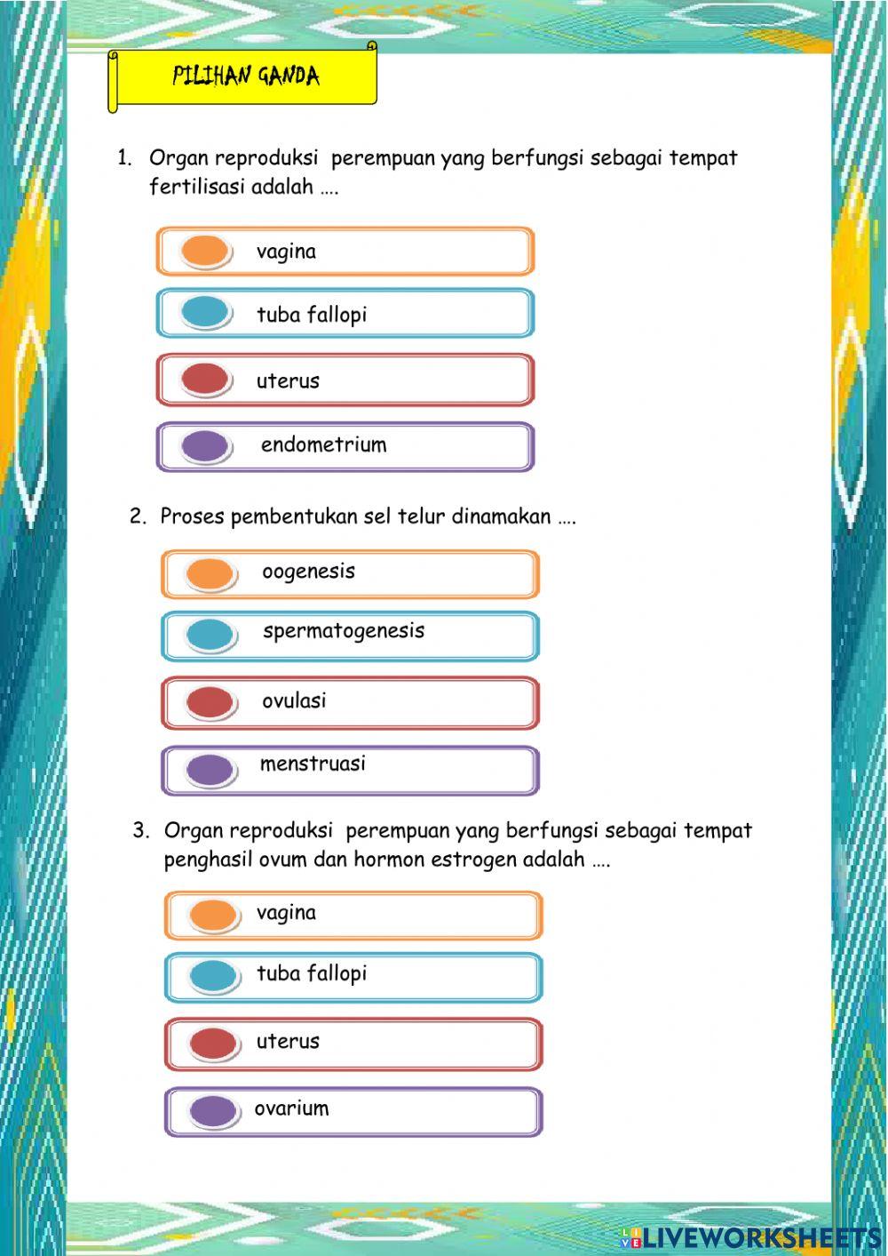 Sistem Reproduksi Manusia