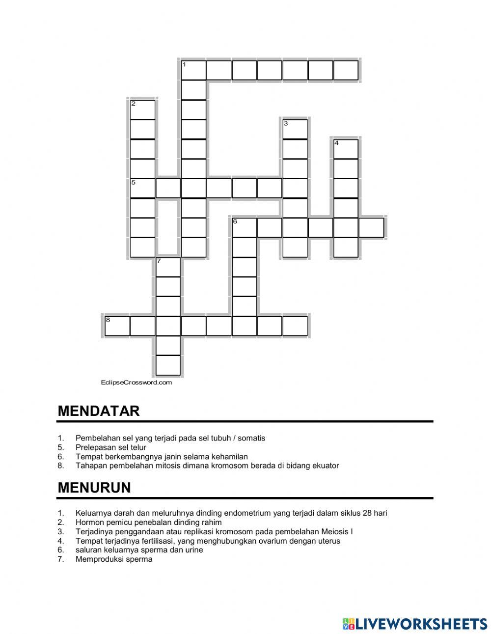 Puzzle sistem reproduksi manusia