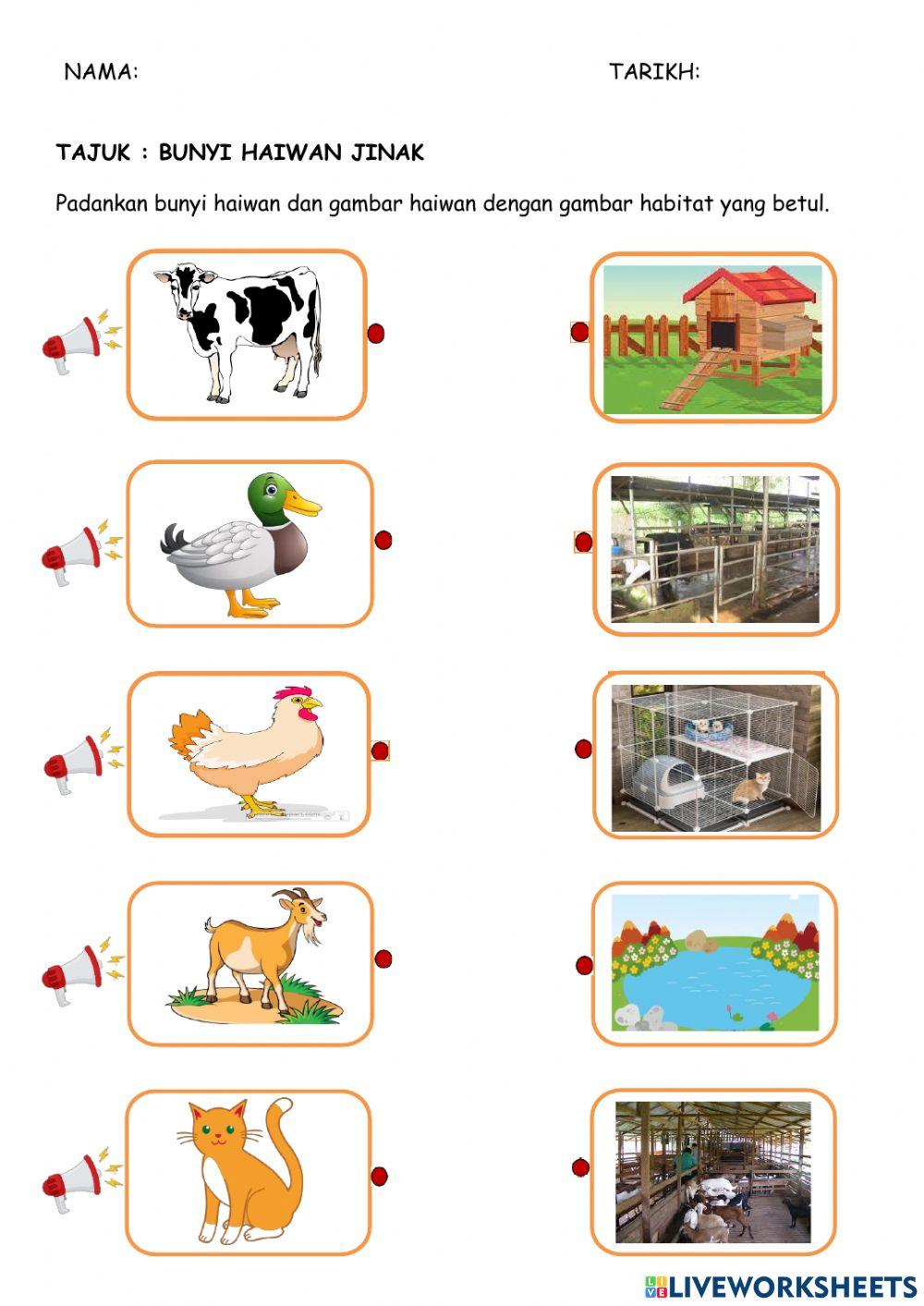 TAJUK: BUNYI HAIWAN JINAK (Suai Padan)