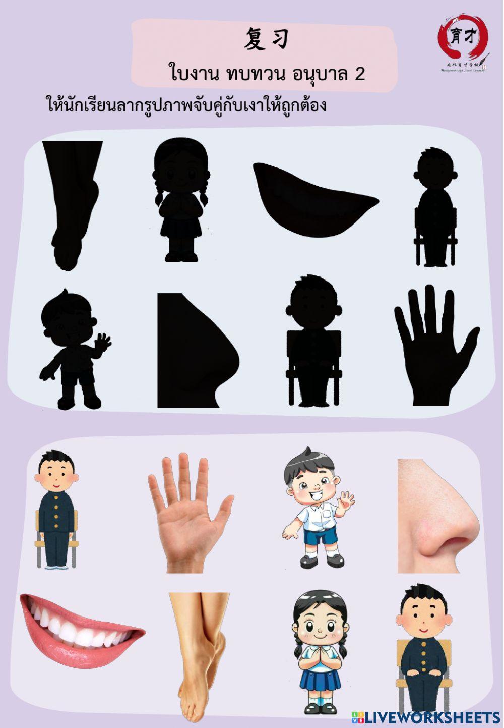 ใบงาน ทบทวน อนุบาล 2