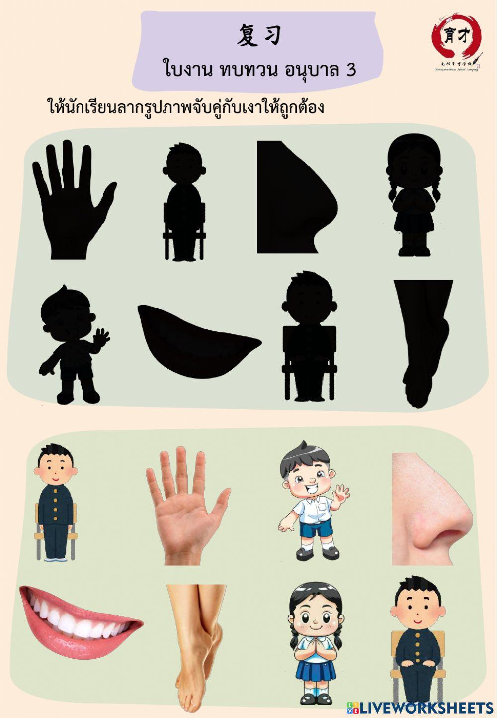 ใบงาน ทบทวน อนุบาล 3