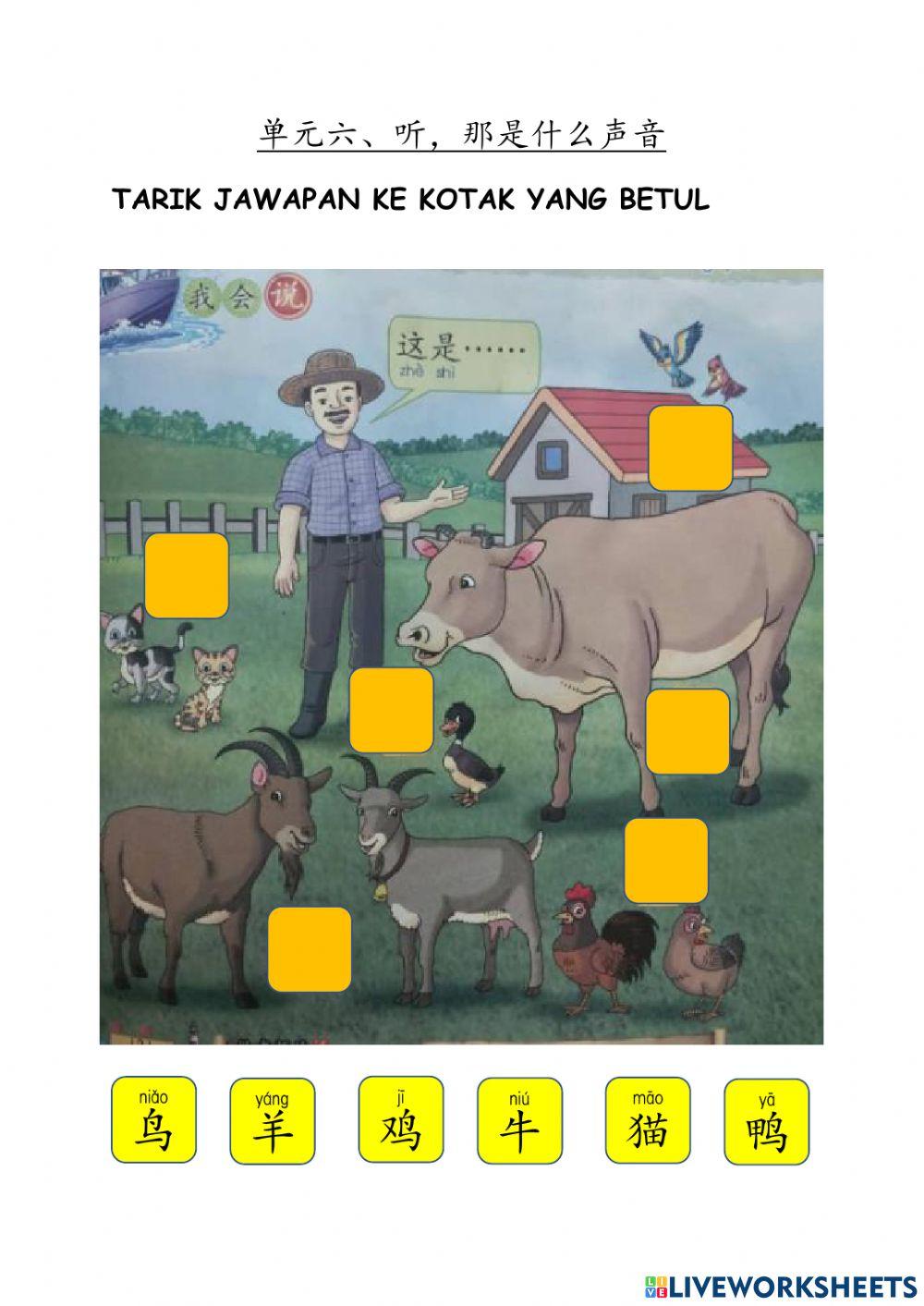 Bahasa cina tahun 3： unit 6