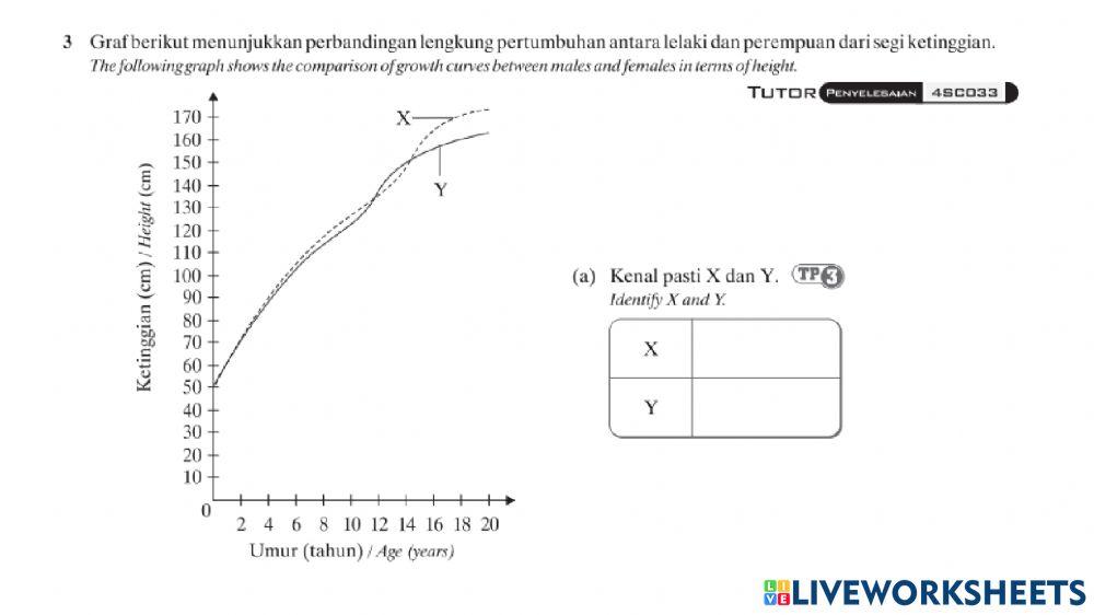 Bab 6 sokongan pertumbuhan