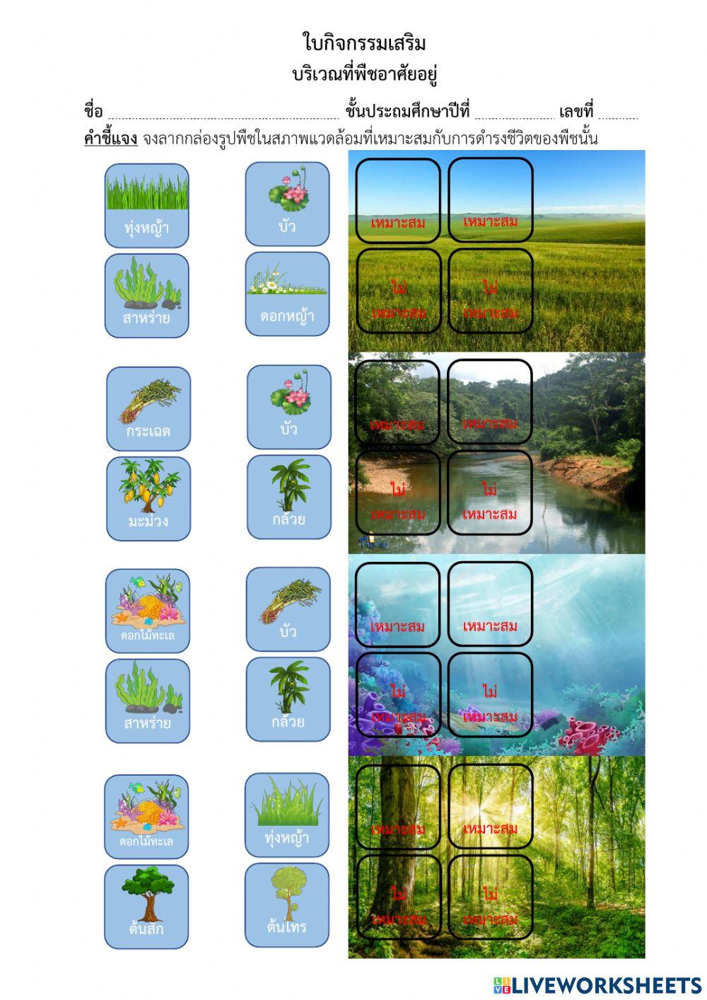 บริเวณที่พืชอาศัยอยู่