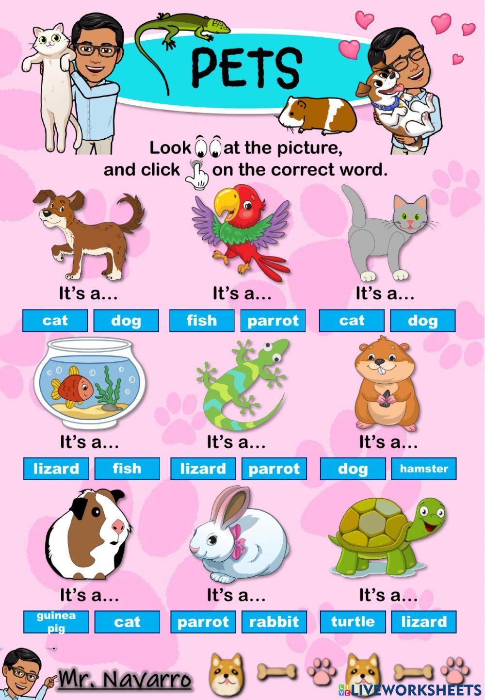 Pets (Look at the picture and click on the correct word)
