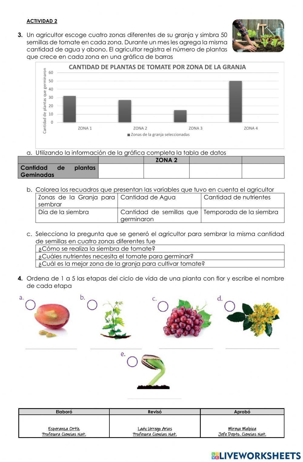 Características Reino Vegetal