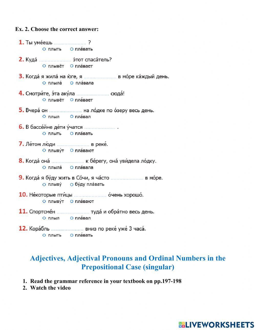 L.13 grammar comprehension