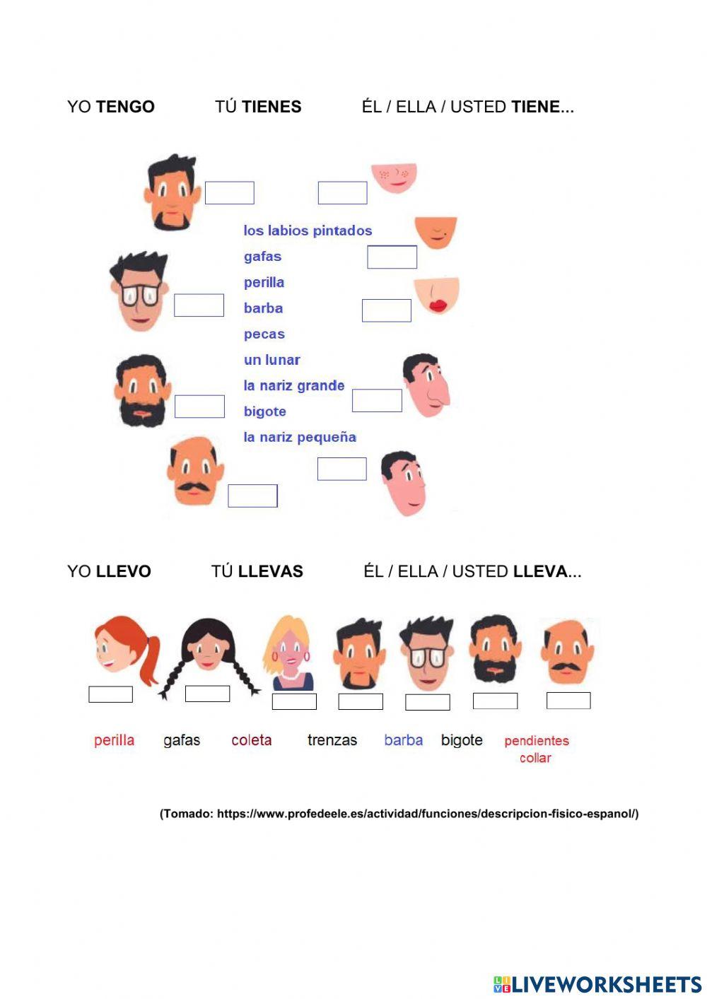 Descripción personas