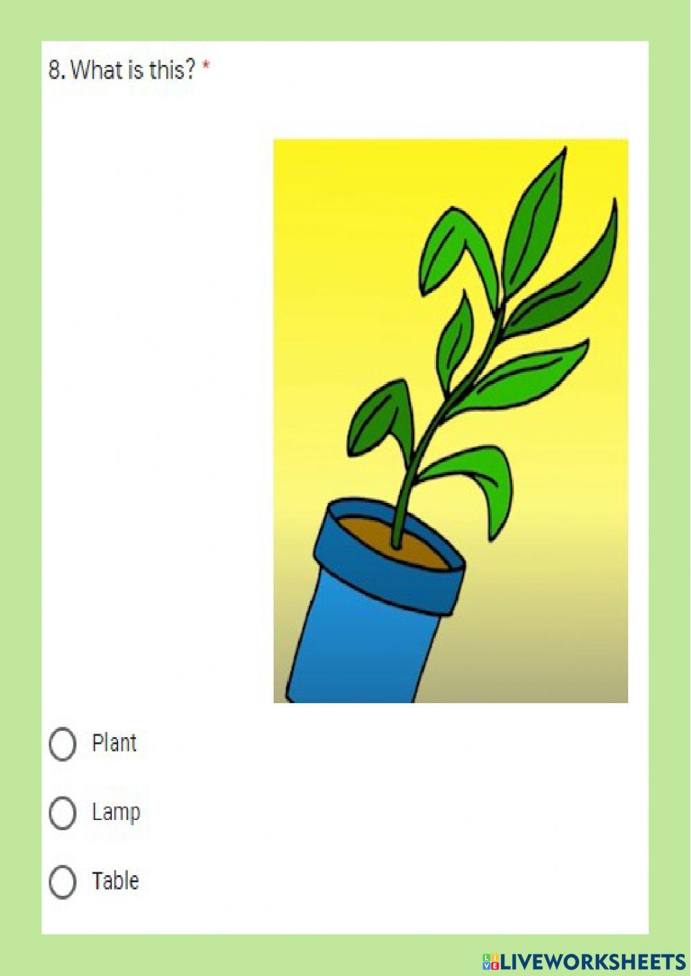 Things Around The House