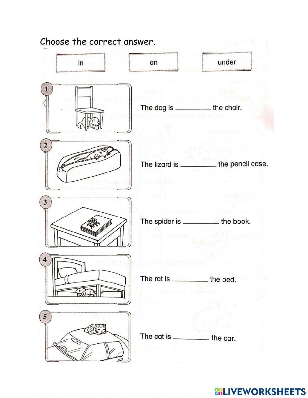 Preposition (in,on,under)