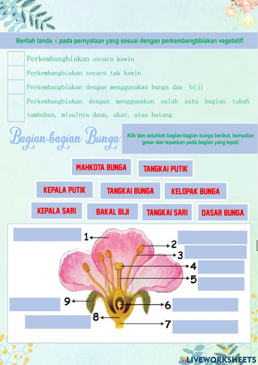 PERKEMBANGBIAKAN TUMBUHAN SECARA GENERATIF
