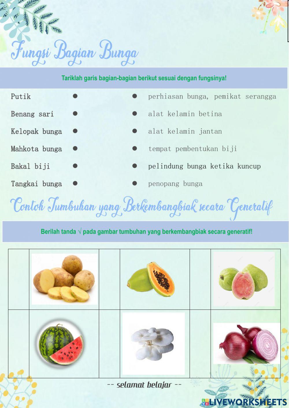 PERKEMBANGBIAKAN TUMBUHAN SECARA GENERATIF