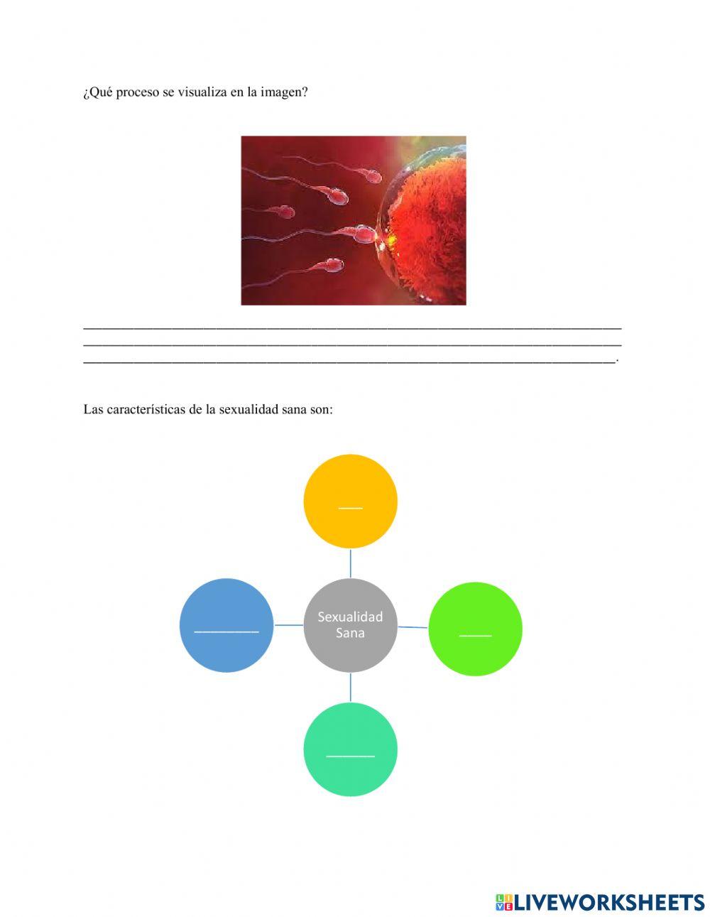 Reproducción Humana