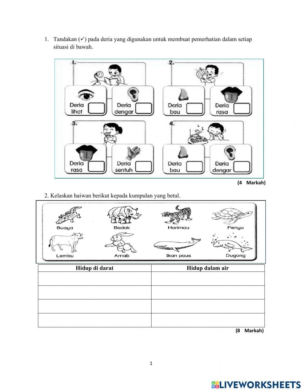Sains tahun 2 kertas 2