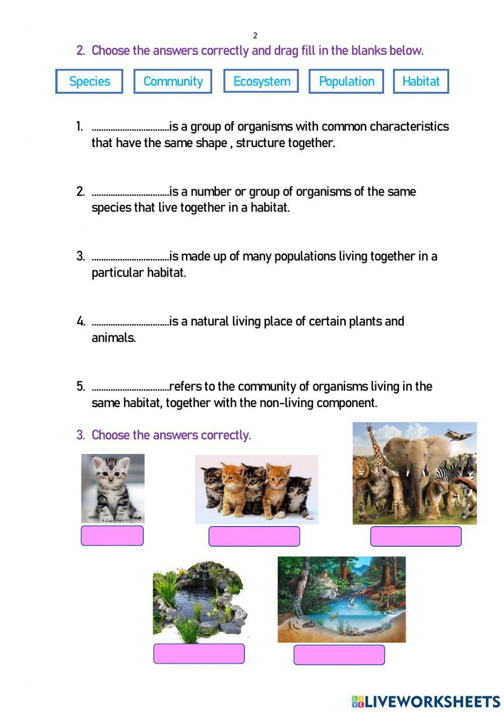 1.1 Interdependence among Organisms M.3