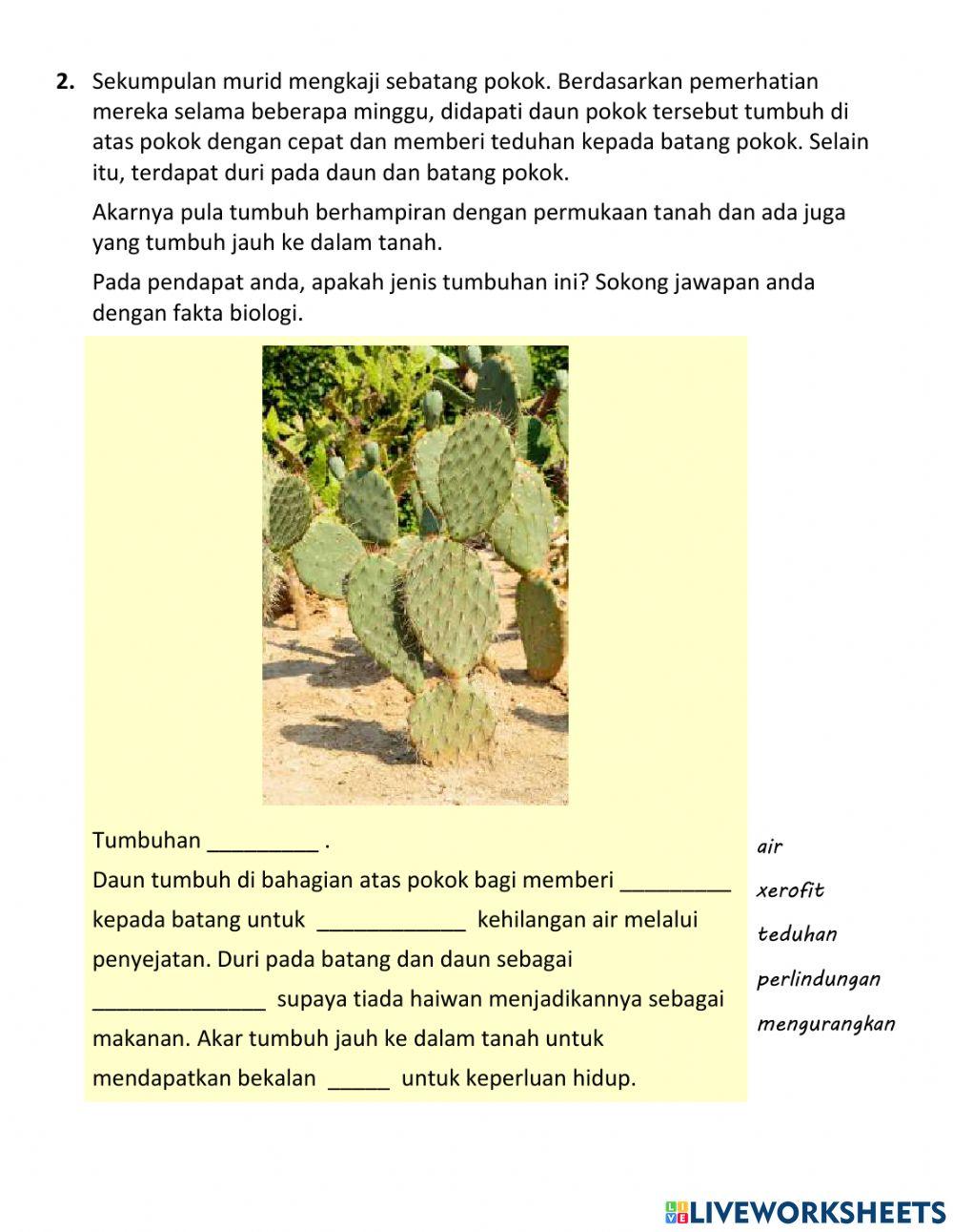 Praktis Formatif 7.1