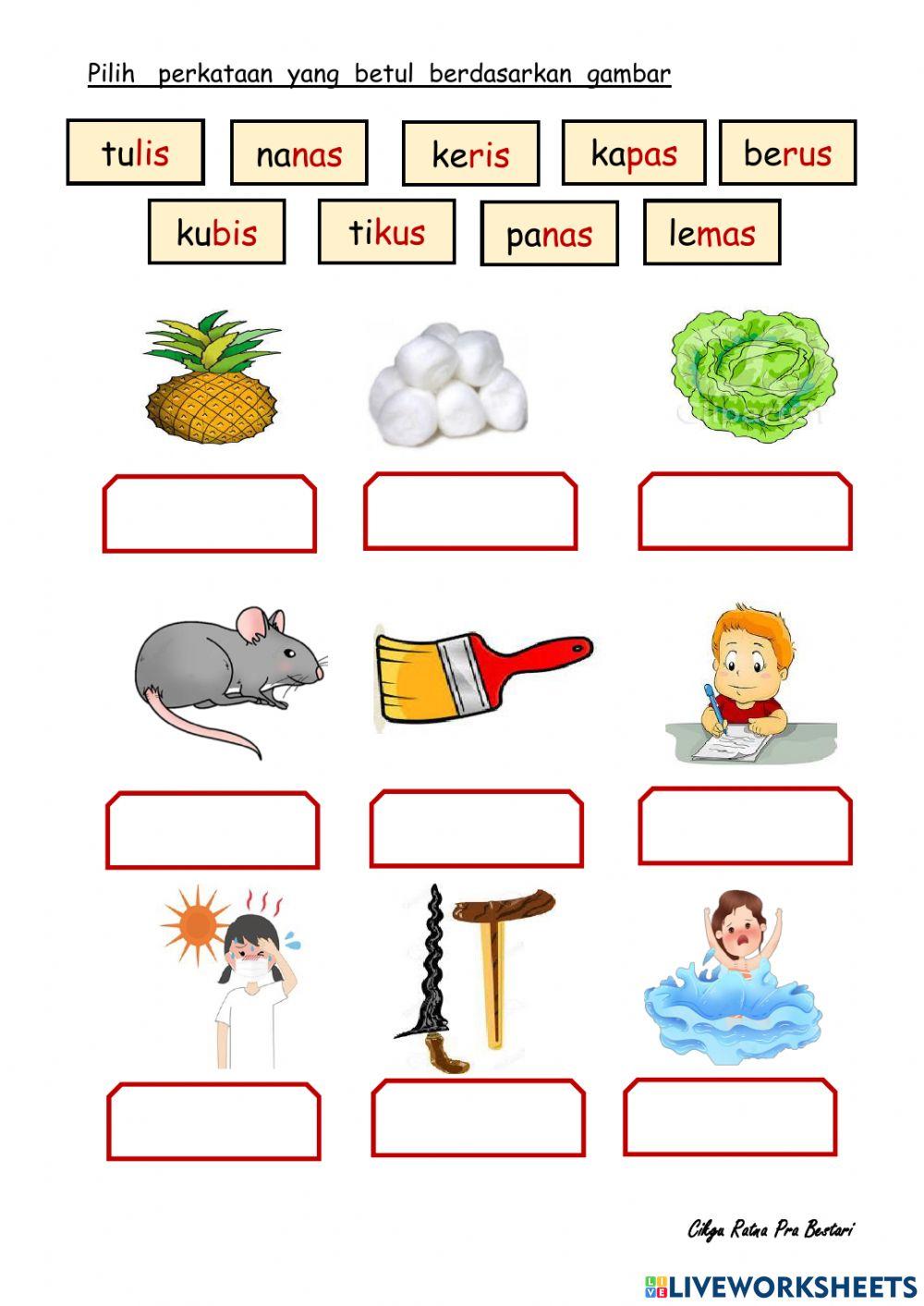 Perkataan kvkvk akhiran s