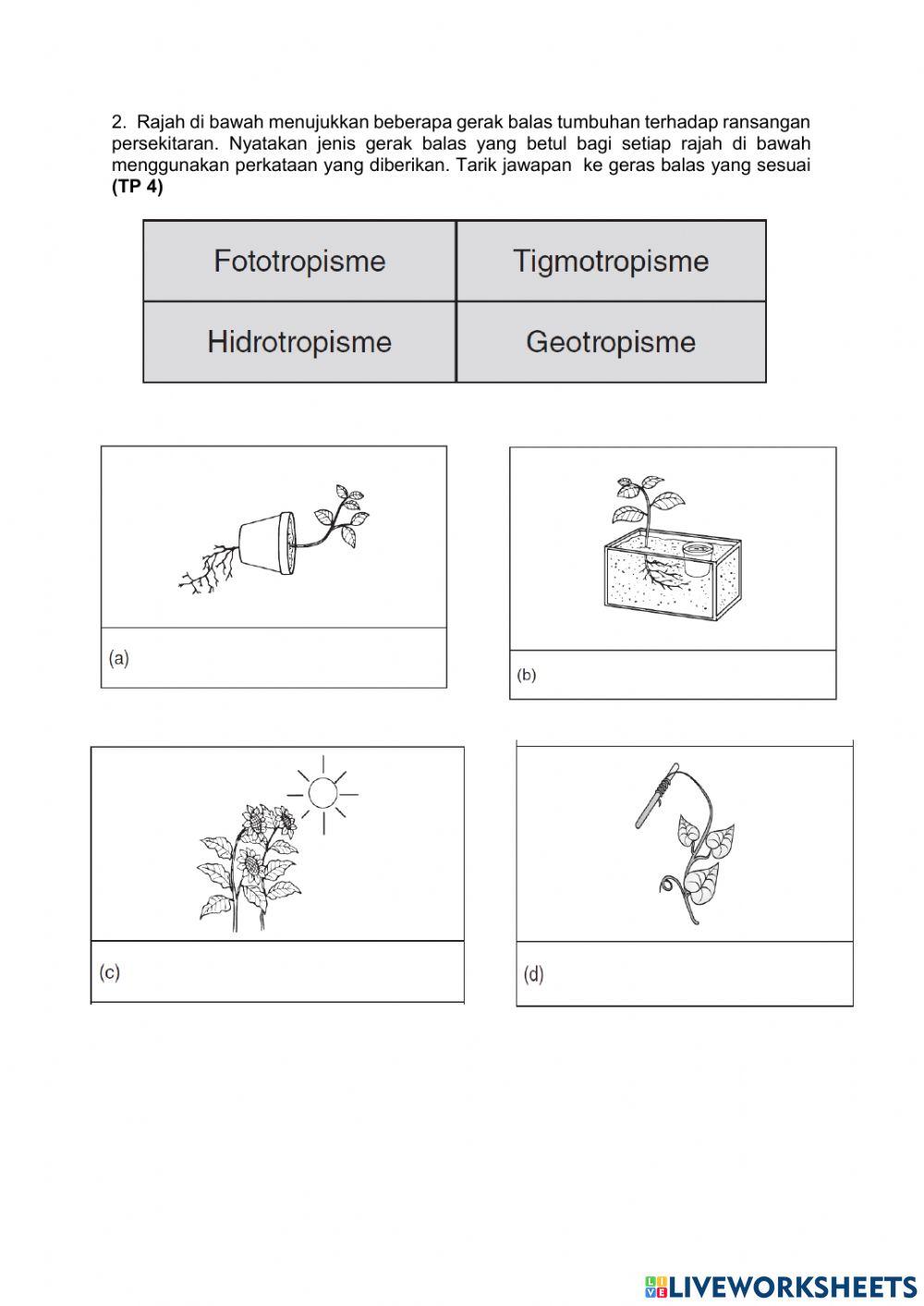 Ulangkaji Tingkatan 3 ( bab 1-6)